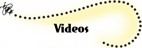 title-videos title videos