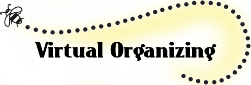 Title Virtual Organizing